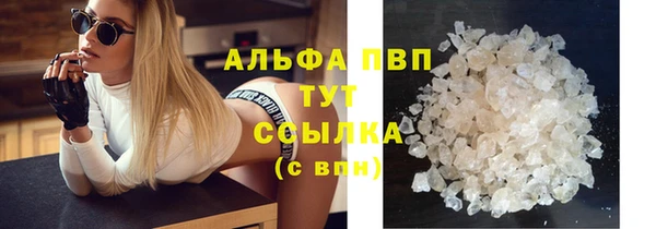 шишки Аркадак