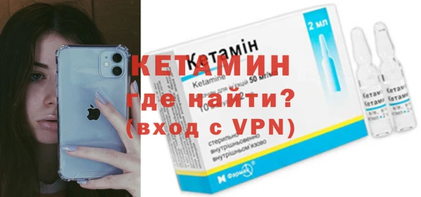 шишки Аркадак