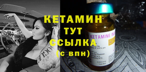 шишки Аркадак