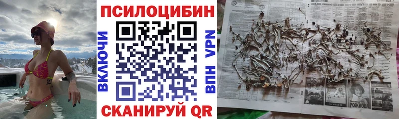 закладки  mega tor  Псилоцибиновые грибы GOLDEN TEACHER  Сим 